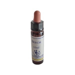 Beech 10 ml (Healing Herbs)