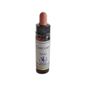 Chicory 10 ml (Healing Herbs)