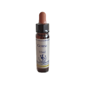 Gorse 10 ml (Healing Herbs)