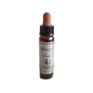 Holly 10 ml (Healing Herbs)