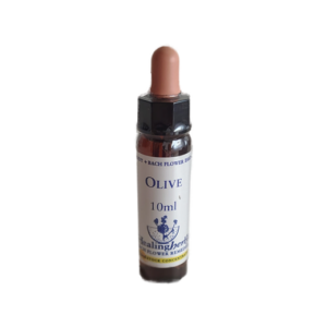 Olive 10 ml (Healing Herbs)