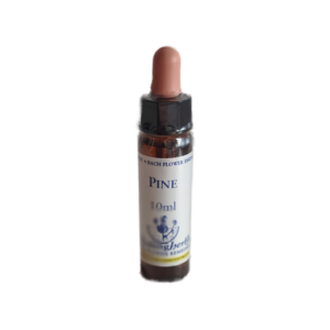 Pine 10 ml (Healing Herbs)
