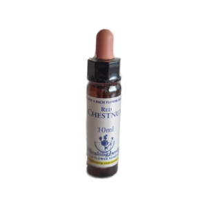 Red Chestnut 10 ml (Healing Herbs)