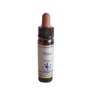 Vine 10 ml (Healing Herbs)