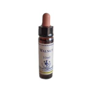 Walnut 10 ml (Healing Herbs)