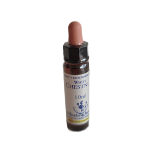 White Chestnut 10 ml (Healing Herbs)