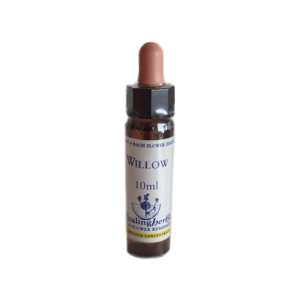 Willow 10 ml (Healing Herbs)