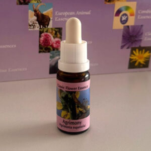Agrimony 15 ml (PHI Essences)