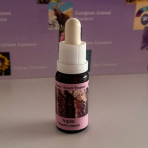 Aspen 15 ml (PHI Essences)