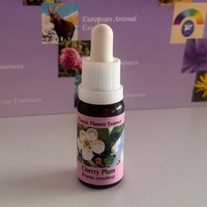 Cherry Plum 15 ml (PHI Essences)