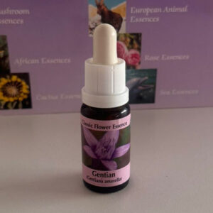 Gentian 15 ml (PHI Essences)