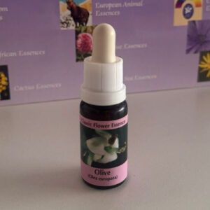 Heather 15 ml (PHI Essences)