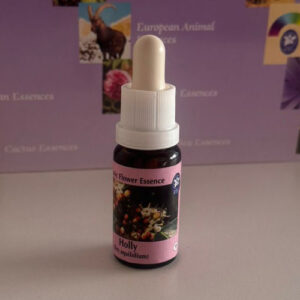 Holly 15 ml (PHI Essences)