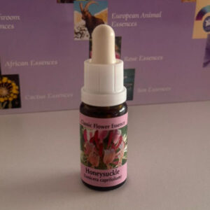 Honeysuckle 15 ml (PHI Essences)