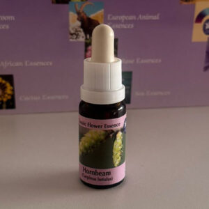 Hornbeam 15 ml (PHI Essences)