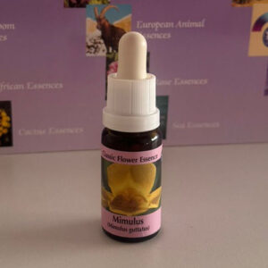 Mimulus 15 ml (PHI Essences)