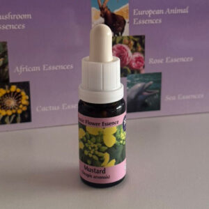 Mustard 15 ml (PHI Essences)