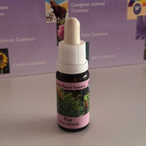 Pine 15 ml (PHI Essences)