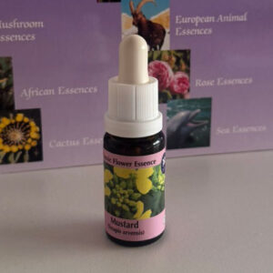 Red Chestnut 15 ml (PHI Essences)