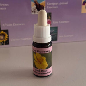 Rock Rose 15 ml (PHI Essences)