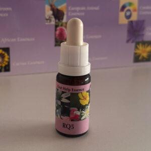 RQ5 15 ml (PHI Essences)