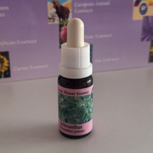 Scleranthus 15 ml (PHI Essences)