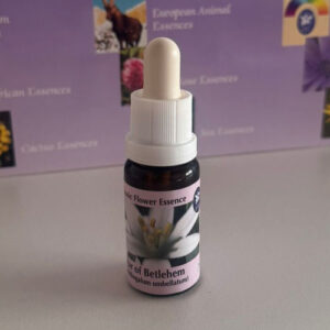 Star of Bethlehem 15 ml (PHI Essences)