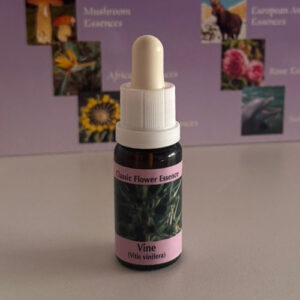 Vine 15 ml (PHI Essences)