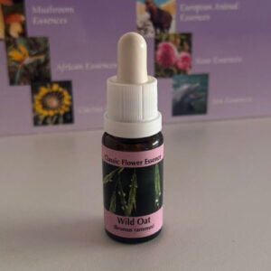 Wild Oat 15 ml (PHI Essences)