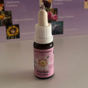 Wild Rose 15 ml (PHI Essences)