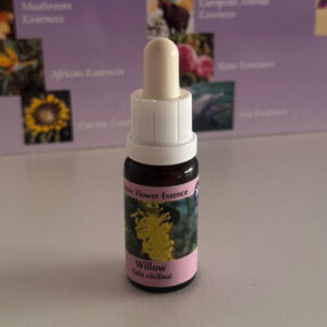 Willow 15 ml (PHI Essences)